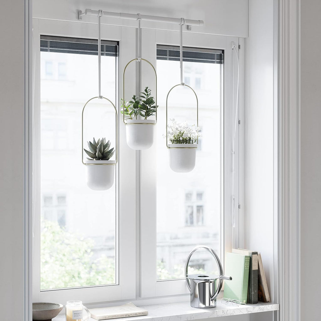 umbra triflora hanging planter, indoor herb garden, set on a desk or shelf