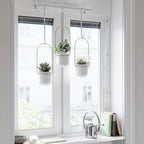 umbra triflora hanging planter, indoor herb garden, set on a desk or shelf
