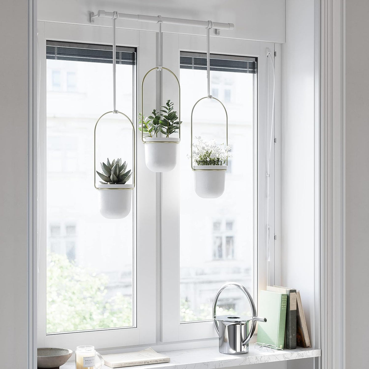 umbra triflora hanging planter, indoor herb garden, set on a desk or shelf