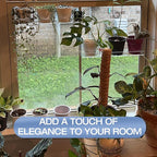 2 Pack 12 Inch Acrylic Window Boxes Plant Shelves, with Suction Cup Window Sill Extender, for Indoor/Outdoor Succulents, Micro Greens, Seed Starter Pots, Herb Planters