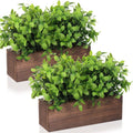 lyrow 2 pack 11.4 '' artificial eucalyptus plants, main product view