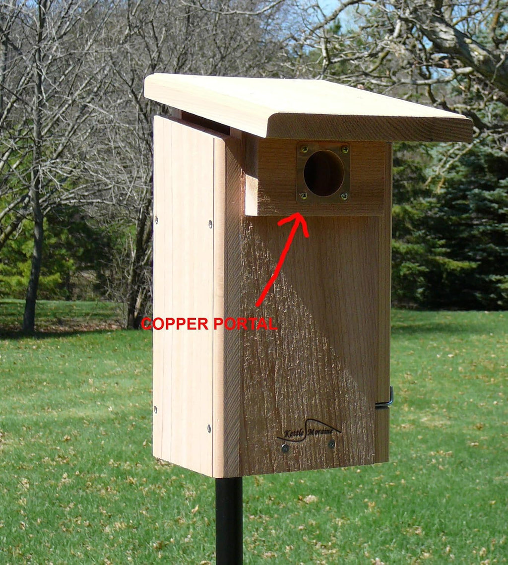 Copper Portal for Western Bluebird Bird Houses 1 9/16" Predator Guard