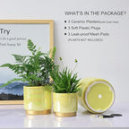 Gepege Indoor Pots for Plants, Ceramic Planter with Drainage Hole, 6.0 inch+5.0 Inch+4.0 Inch. Succulent Orchid Flower Pot - Rainbow Pearl Glaze