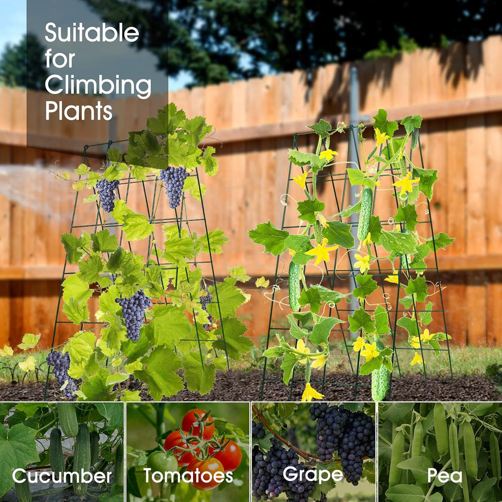 rifny cucumber trellis for raised bed, garden trellis on a desk or shelf