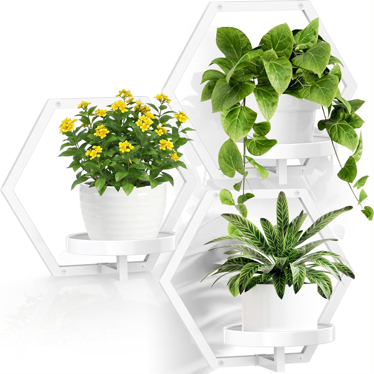 3 packs wall planters for indoor plants, 5.9inch, main product view
