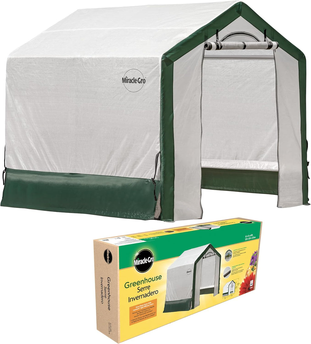 miracle-gro walk-in outdoor greenhouse, clear, 6 x 6 shown in use