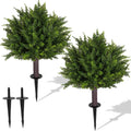 24.5 inch set of 2 topiary cedar trees, main product view