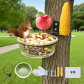 Tree Fence Squirrel Feeder, Outdoor Wild Squirrel Bird Wild Table, Backyard Transparent Glass Chipmunk Feeder, Strong and Ornamental, with Drainage Holes and Corn Support Squirrel Feeder