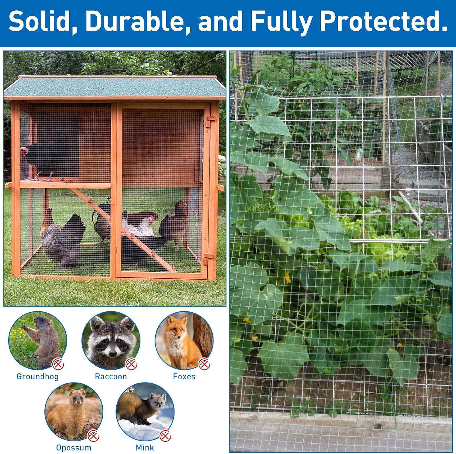 Hardware Cloth,Chicken Wire Fence,1/2 inch 15.7in x 6ft Galvanized Welded Cage Wire for Bird Wire Gopher Wire Rabbit Wire Snake Fence Poultry Netting Cage Screen