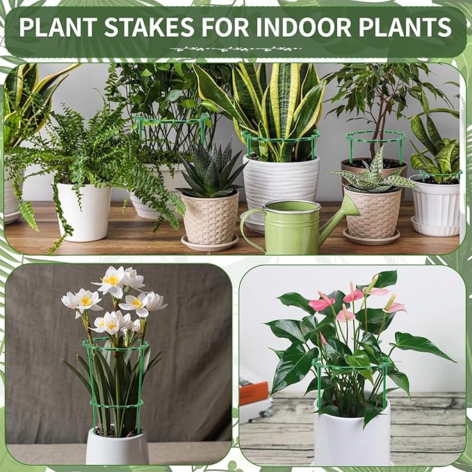 36 Pack Plant Support Stakes Sets - Versatile Plant Cages, Stackable Garden Flower Support， Small Plant Stakes for Indoor Plants,Tomato,Monstera, Peony, Hydrangea, Climbing Plants