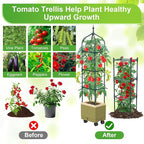 Raised Garden Bed Planter Box with Trellis, 71" Self-Watering Tomato Planter with Wheels for Climbing Vegetable and Plants, Tomato Cage Planters for Indoor Outdoor Patio Greenhouse Gardening (1Pack)
