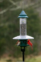 squirrel buster plus squirrel-proof bird feeder w/cardinal ring, package contents