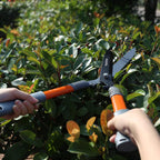 Garden Hedge Shears, Manual hedge Clippers for Shaping Shrubs and Trimming Bushes. Hedge Clippers & Shears made with Durable Carbon Steel Blades, Shock-Absorbing Bumpers and Comfort Grips.