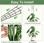 30'' Larger Plant Trellis Indoor, Expandable Metal Trellis for Climbing Plants Indoor, House Plant Climbing Support for Monstera Hoya Pothos, 4P