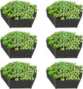 anleolife 6-bed 70x60x18in hexagon raised garden beds, quartz, main product view
