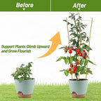 Avalution 10 Pack Bamboo Trellis for Climbing Plants, 3 FT Garden Ladder Trellis for Potted Plants Indoor, Fan-Shaped Small Plant Support Trellis for Houseplants Ivy Hoya Vine Monstera