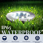 SOLPEX Solar Lights Outdoor Waterproof, 20 Pack Solar Ground Lights, Solar Garden Lights Landscape Lighting for Pathway Driveway Patio Backyard Walkway (Cool White)
