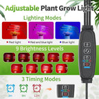 desktop mini indoor greenhouse with adjustable grow light, close-up detail