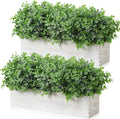lyrow 2 pack eucalyptus plant,white,16.1 inch,white powdered round, main product view