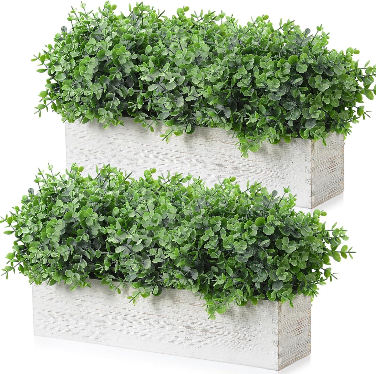 lyrow 2 pack eucalyptus plant,white,16.1 inch,white powdered round, main product view
