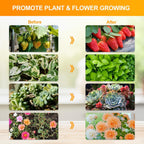 FECiDA Bonsai Grow Light, Table Grow Lights for Seed Starting, Seedlings | UV-IR Full Spectrum, 5 Modes 4/8/12/16/20 Hr Timer, 25 Watt Power Draw, 16"-24" Height Adjustable