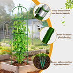 Garden Trellis for Climbing Plants, Tomato Cage, Rose, Flowers, Grape, Pea, Cucumber Trellis, Rustproof Plastic Coated Metal Plant Support for Potted Plants Indoor Outdoor - 1PC Plant Trellis
