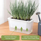 Window Box Planter, 3 Pack 10 Inch Plastic Self Watering Pots for Indoor Plants, Rectangular Flower Pots with Reservoir for Outdoor Indoor Plants Garden Home Decor - White