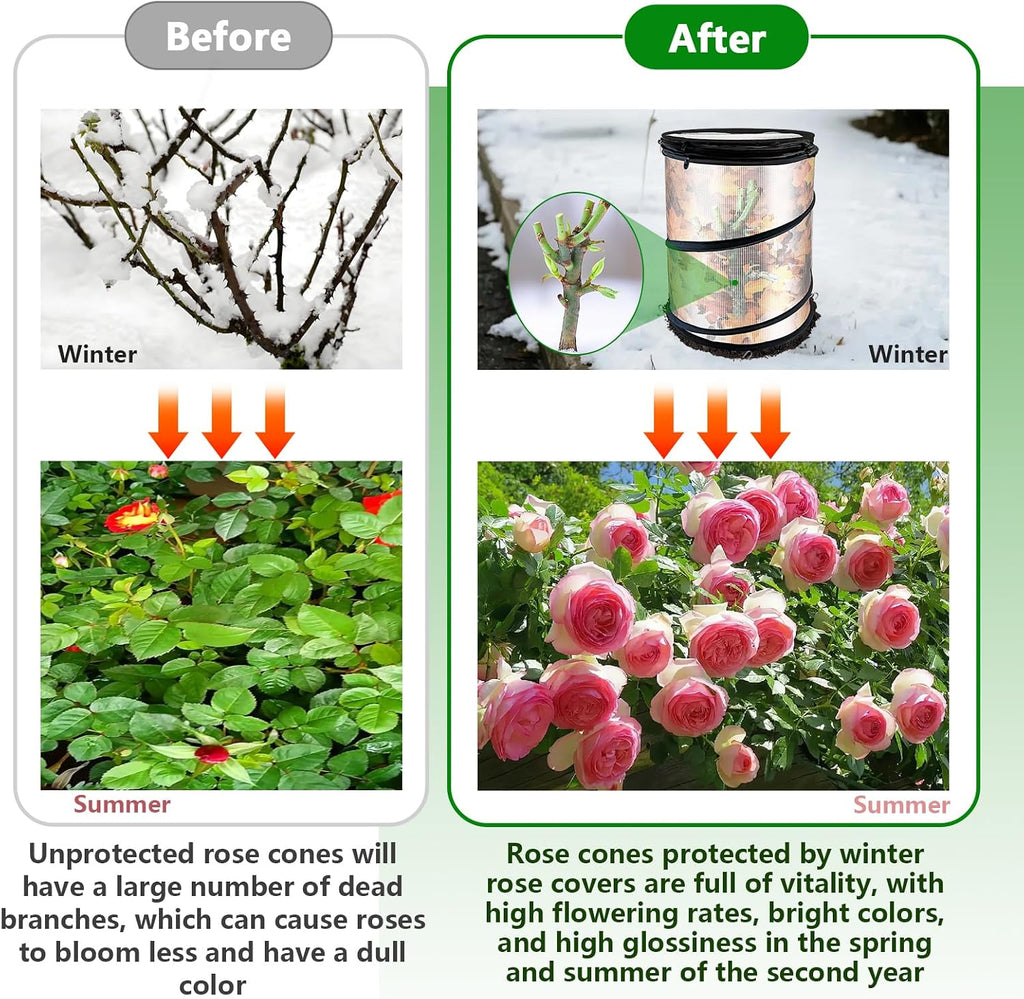 rose cones for winter protection with stakes to, side view