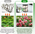 rose cones for winter protection with stakes to, side view
