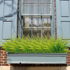 coreland 40 pcs artificial boston fake fern plants, package contents