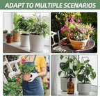 17.5 Inch Indoor Plant Trellis for Climbing Plants,Metal Trellis,Small Garden Trellis for Potted Plants,Plant Stakes for Indoor Plants Accessories Hoya,Flower,Plant Support (Star-Metal)