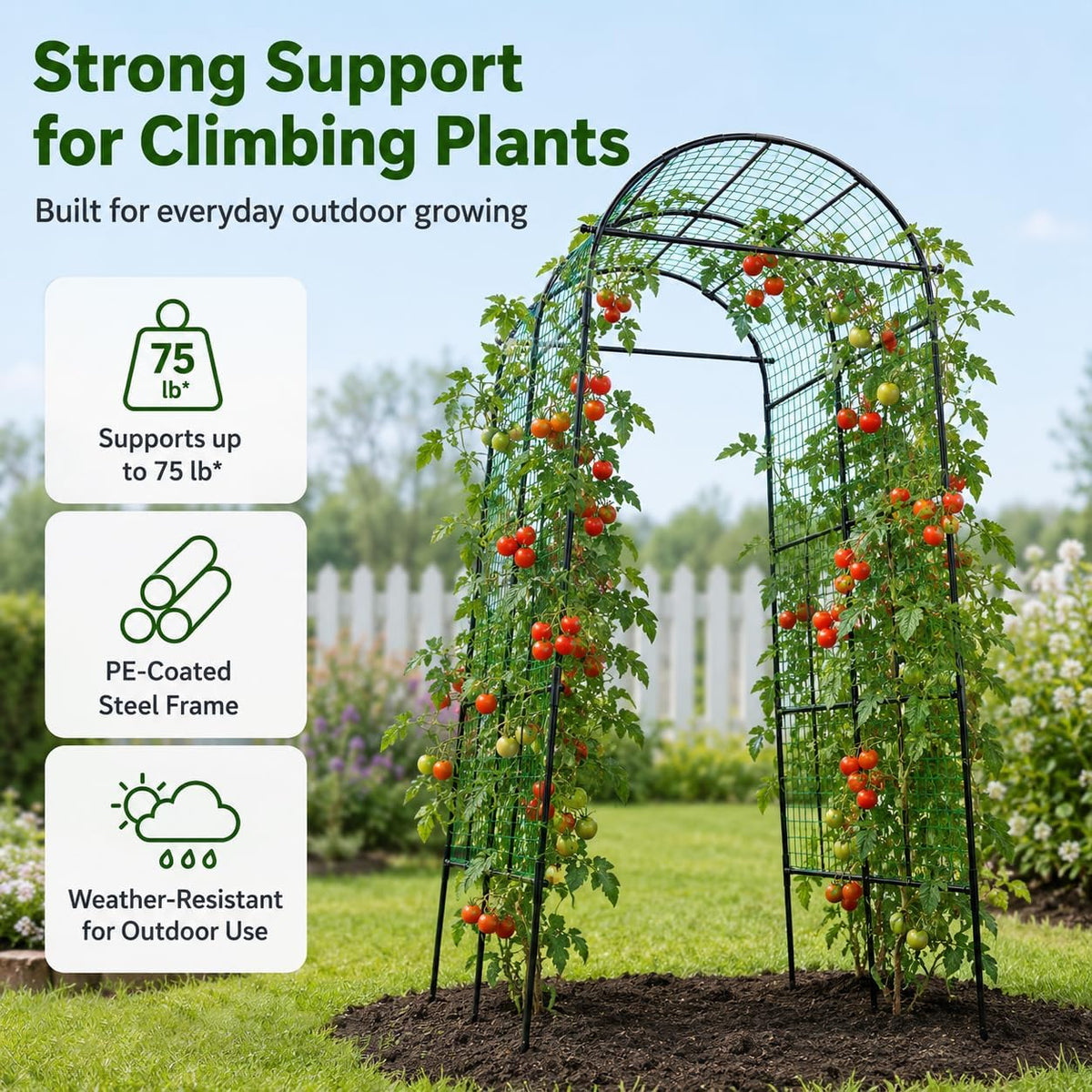 follook garden arch trellis for climbing plants outdoor, side view