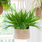 6Pcs Artificial Grass Fake Plants 17.3in 16 Leaves Outdoor Fake Grass UV Resistant Greenery Plastic Plants for Home Window Garden Office Patio Hanging Planter Pathway Front Porch Décor