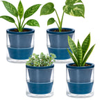 d'vine dev self-watering blue terracotta planter, 4 in, main product view