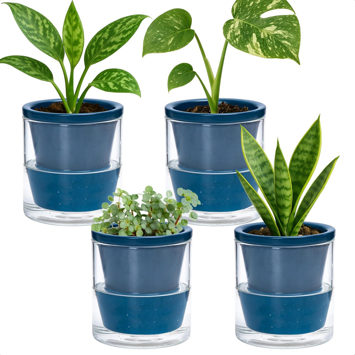 d'vine dev self-watering blue terracotta planter, 4 in, main product view