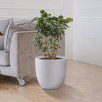 Kante 13.4" Dia Round Concrete Planter, Large Outdoor Modern Indoor Decorative Plant Pots with Drainage Hole and Rubber Plug for Home and Garden, Pure White