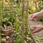 Spear & Jackson Kew Gardens Urban Oasis Collection CUTTINGSET19K Snips & Twine Set - Essential Pruners and 100m Natural Garden Twine