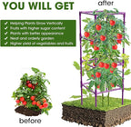 3 Pack Tomato Cages, Square Tomato Plant Stakes Support Cages Trellis for Garden Climbing Vegetables Flowers Fruits,Extra Bold,Purple