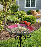 Large Glass Bird Bath with Metal Stand, Hummingbird | 18" Wide Bowl, 3.2" Bathing Depth, Thick Glass Construction, Stable 3-Leg Base, Easy Clean Surface, Garden Decor