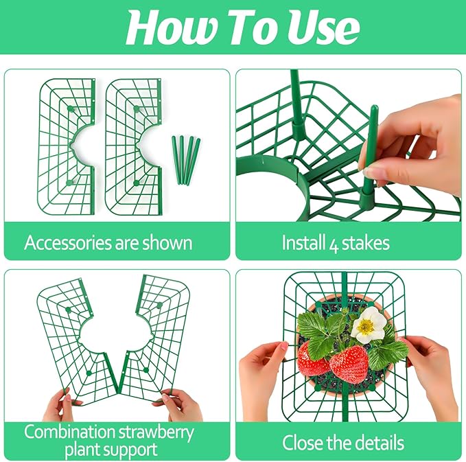 4 Sets Strawberry Plant Support with Mesh Cover - Square Gardening Frame, Animal Barrier, Iron Stakes & Storage Bag for Healthy Strawberries, Tomatoes, Veggies (Green) (4 pcs)