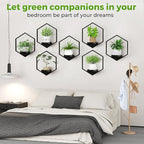 Wall Planters for Indoor Plants 5 Pack, Plant Frames Wall Decor Living Room Plant Stand Hanging Wall Plants Holder to Hold Large Pots Wall Plant Hanger Window Plant Shelves for Outdoor Entryway