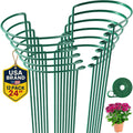 tall snake plant support stakes – 10" w, main product view