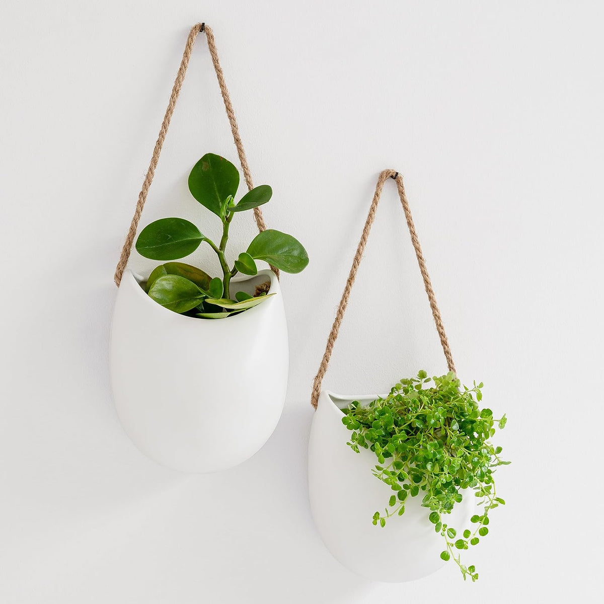 kazai. wall planters -ellie- | hanging ceramic plant, main product view