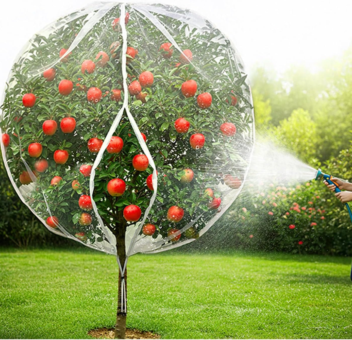 large fruit tree netting 2 pack 10x10 ft, main product view