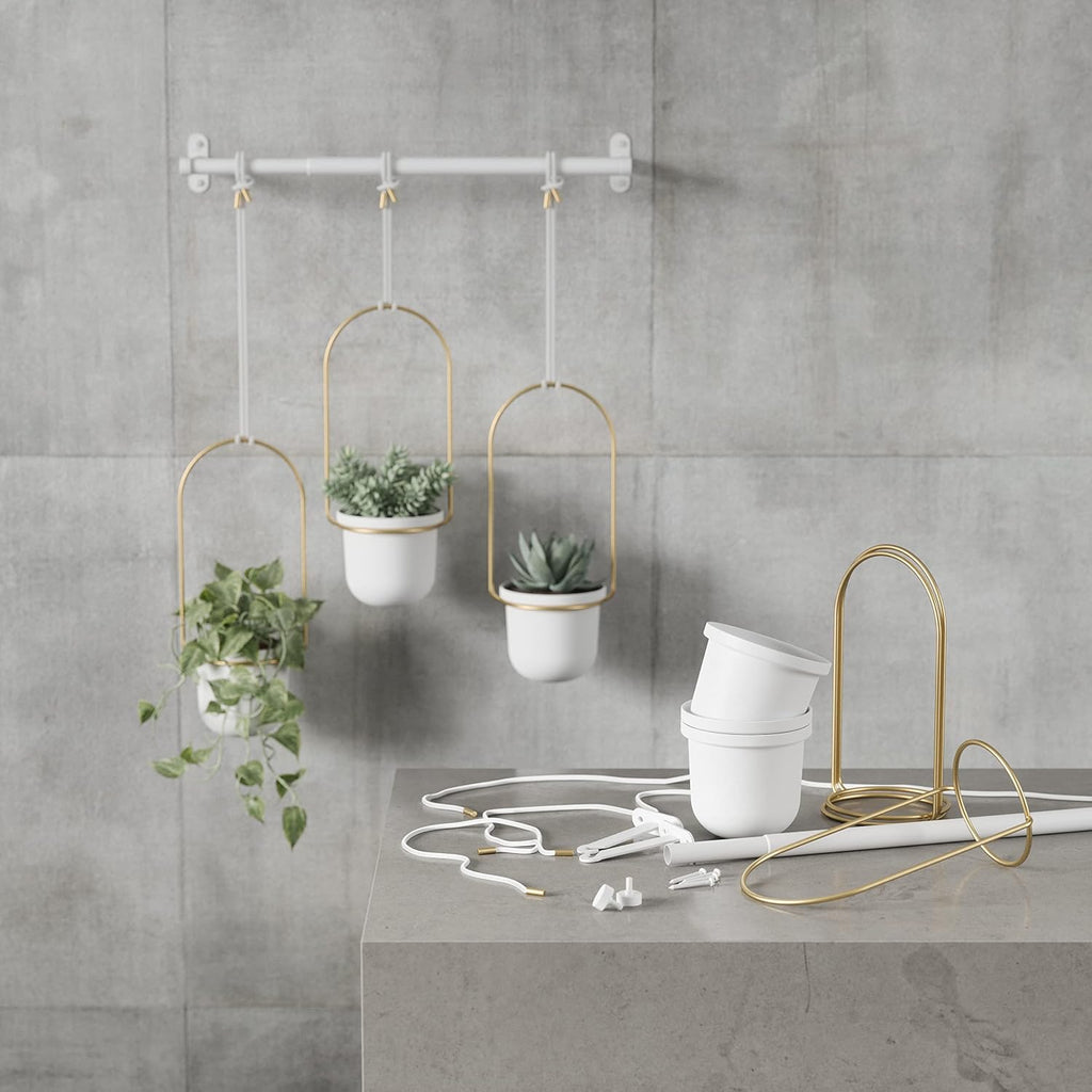 umbra triflora hanging planter, indoor herb garden, set, view 17