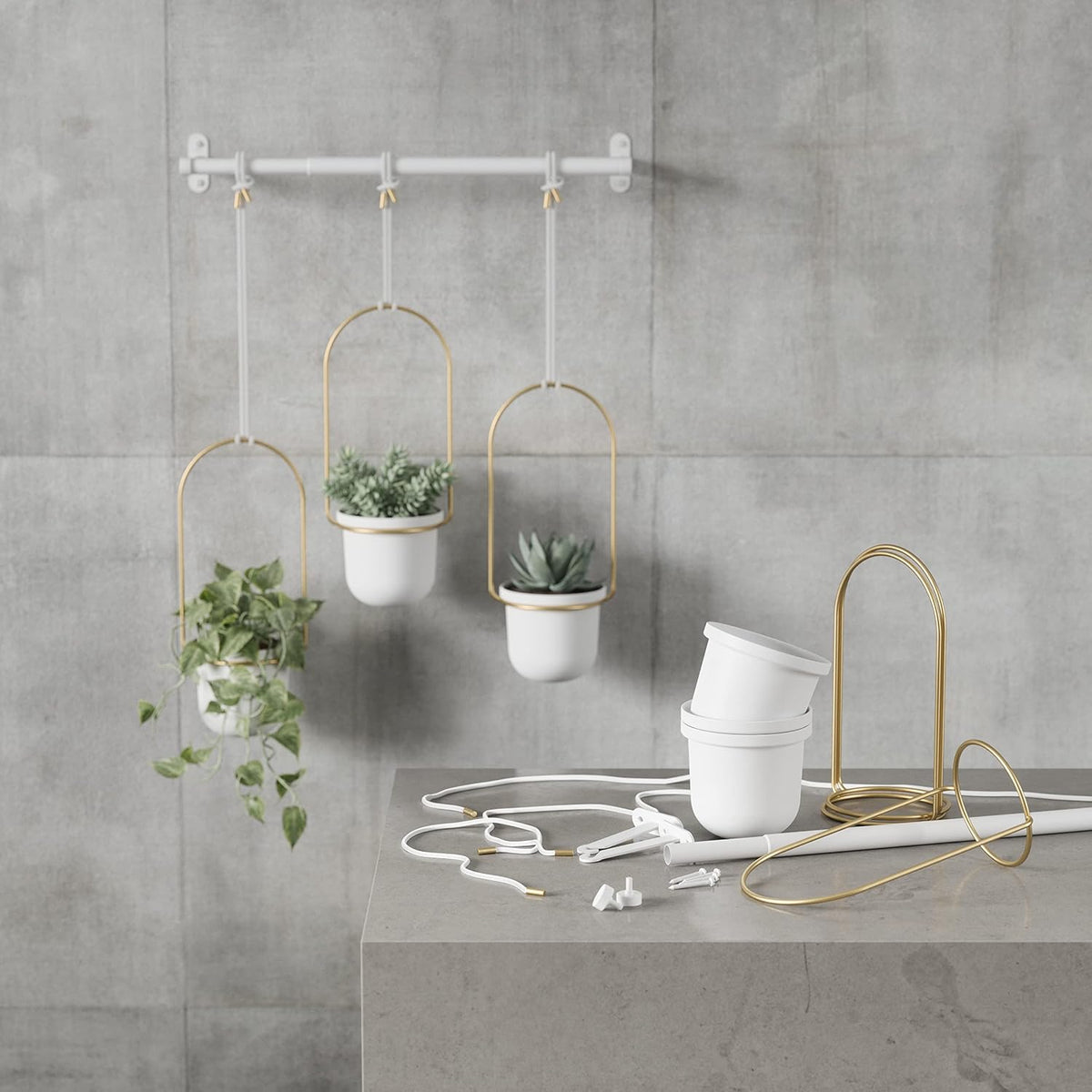 umbra triflora hanging planter, indoor herb garden, set, view 17