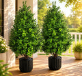 artificial potted plants boxwood topiary trees outdoor indoor, main product view