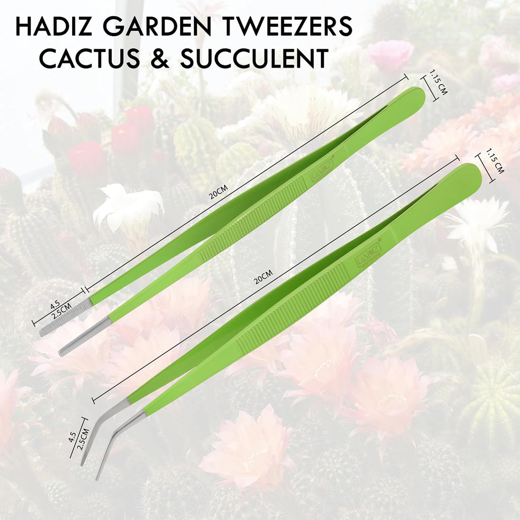 HADIZ Stainless steel Garden Tweezers Two Piece Set For Catus and Succulents 8 Inch Size (Straight & curved)