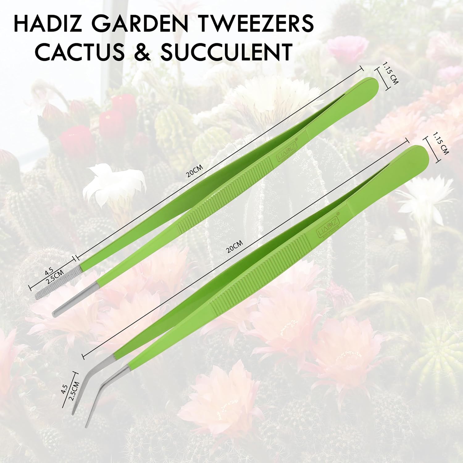 HADIZ Stainless steel Garden Tweezers Two Piece Set For Catus and Succulents 8 Inch Size (Straight & curved)