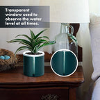 D'vine Dev 4 Inch Design Self Watering Planter for Indoor Plants, White Terracotta Pot with Teal Cylinder Glass Cup, Set of 3,37-Z-A-5-T